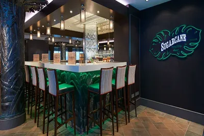 Sugarcane Mojito Bar